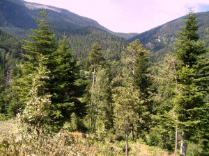 IMG_3261