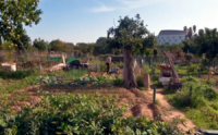 Report from the Espacio Protegido program on Canal Sur TV about a research article in which IRNAS participates