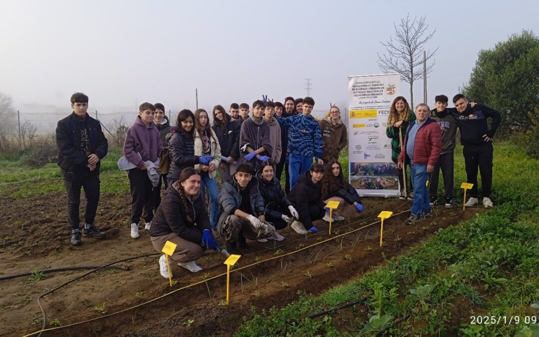 Plantación en el ensayo del IES José María Infantes de Utrera