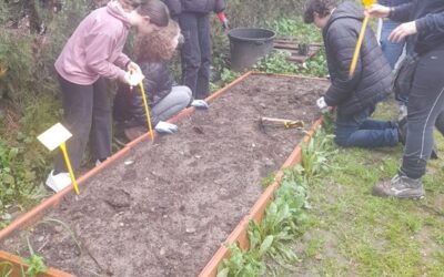 Se inicia un ensayo de Recicomp-huertos en el IES Pino Montano