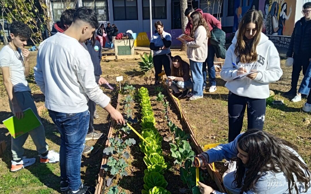 Los alumnos del IES Ibn Jaldún controlan el desarrollo de las plantas