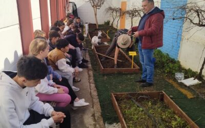 El CEIP Coca de la Piñera de Utrera participa en RECICOMP-HUERTOS