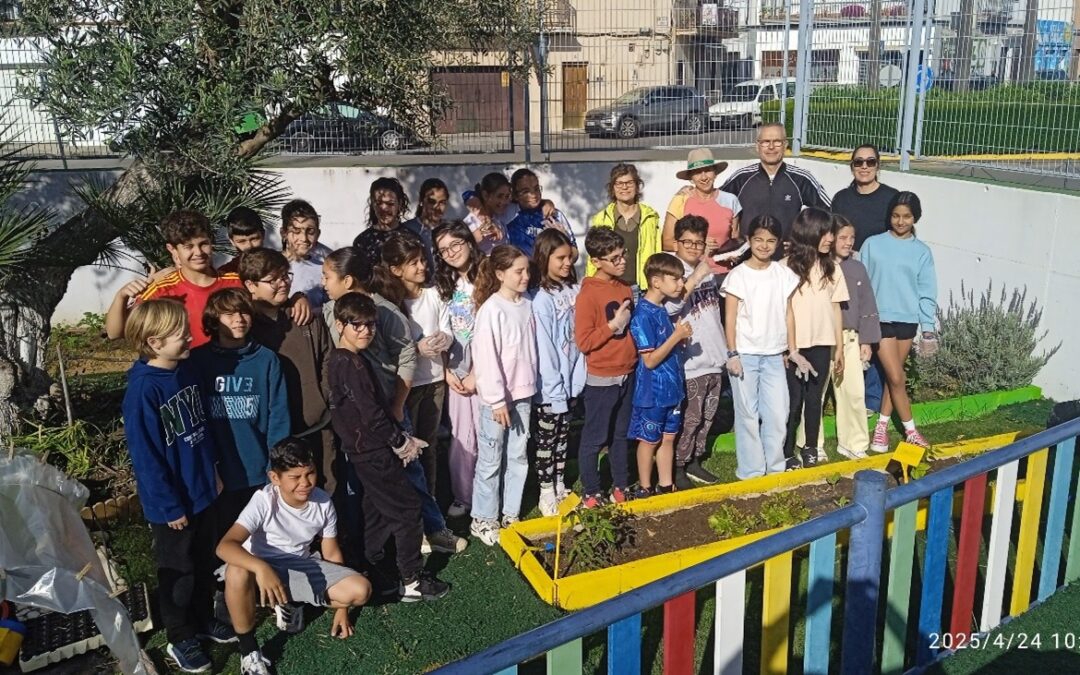 El CEIP Serafín y Joaquín Álvarez Quintero de Utrera recolecta sus lechugas de RECICOMP-HUERTOS